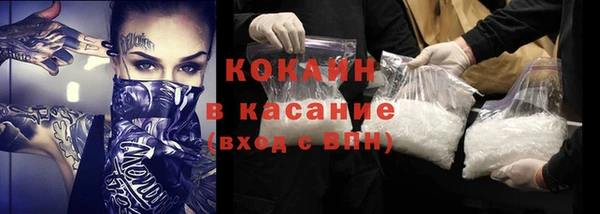 стаф Арсеньев