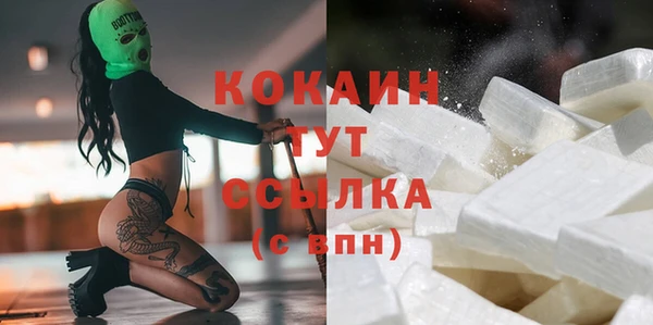 стаф Арсеньев
