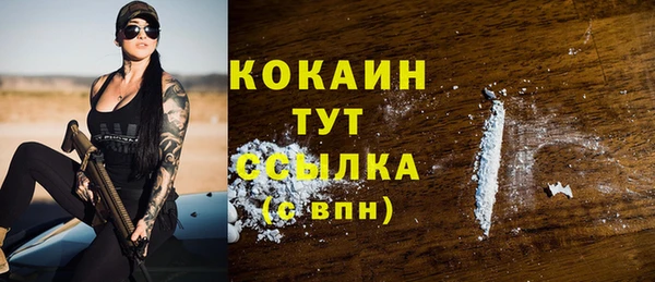 дживик Аркадак