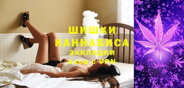 дживик Аркадак