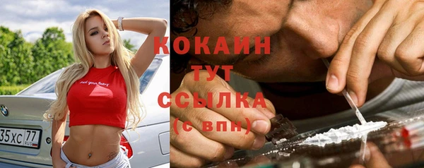 дживик Аркадак
