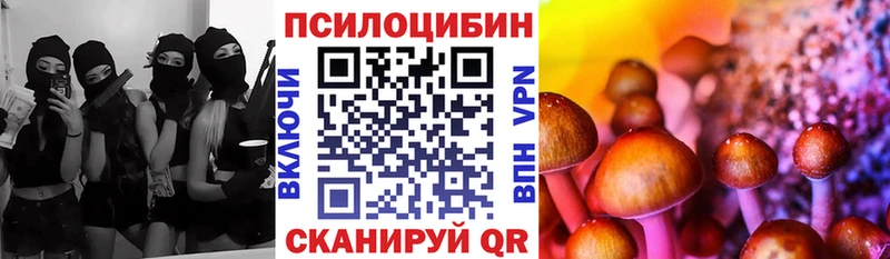 Псилоцибиновые грибы Psilocybe  наркотики  Долгопрудный 